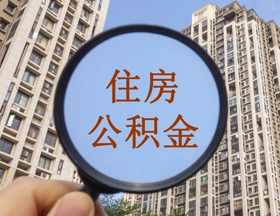 盐城退休后查不到公积金明细了吗（退休后公积金查询不到原因）